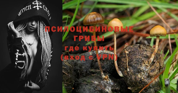 гидра Анива