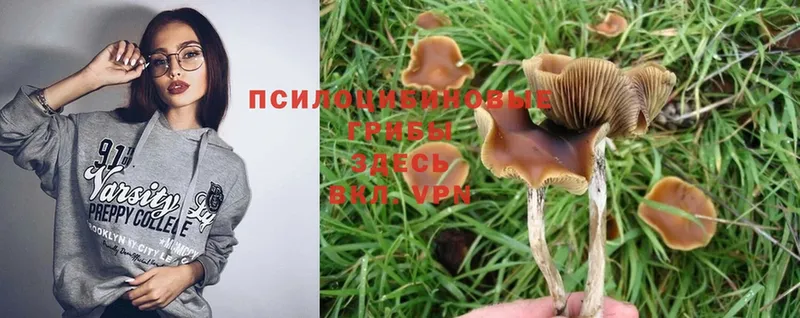 Псилоцибиновые грибы MAGIC MUSHROOMS  Миньяр 